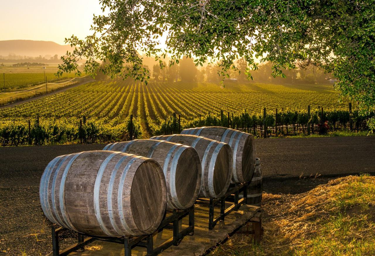 An Ideal Wine Country Getaway Villa Cessnock Exteriör bild