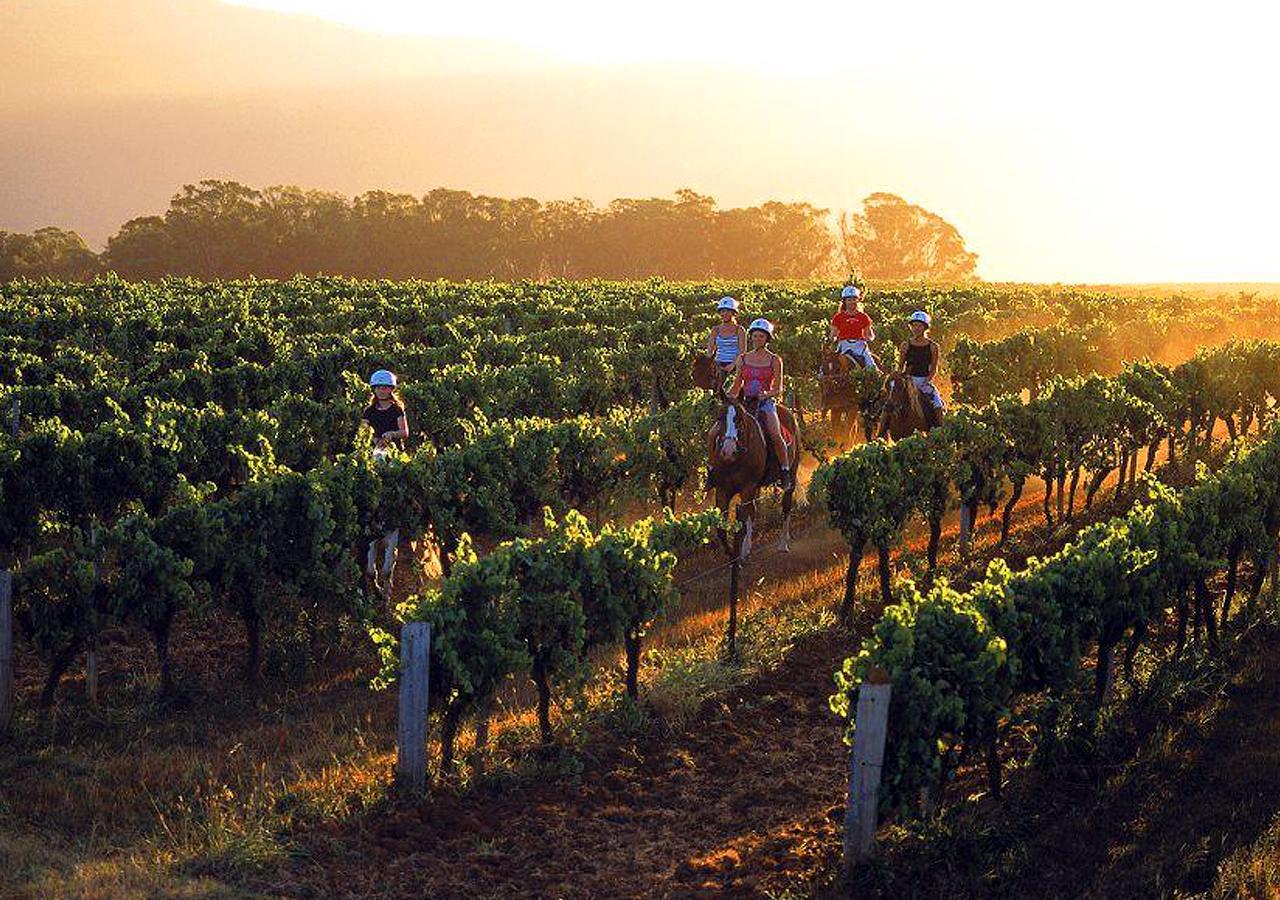 An Ideal Wine Country Getaway Villa Cessnock Exteriör bild